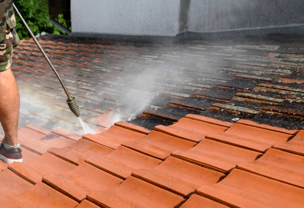 Best Roof Power Washing Services  in Marks, MS